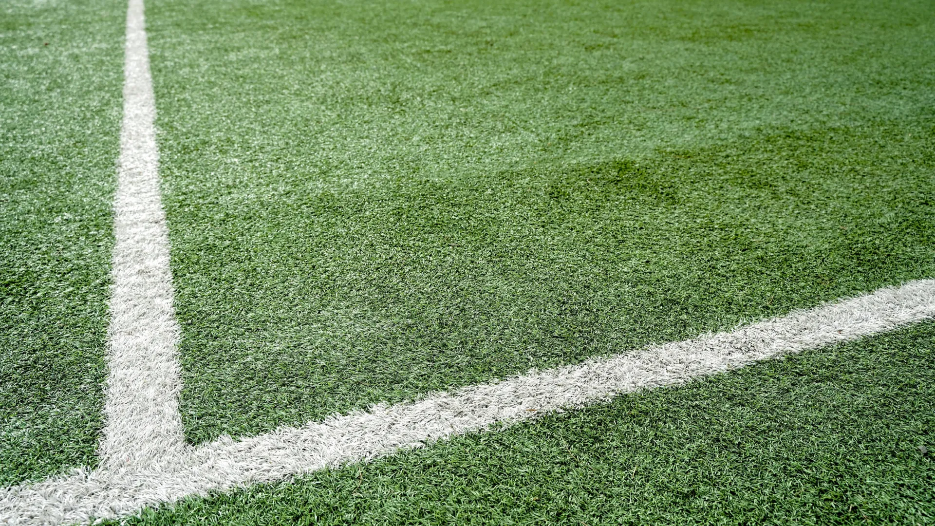 
                    Racismo. PSP identifica adepto que insultou árbitro na Marinha Grande
                