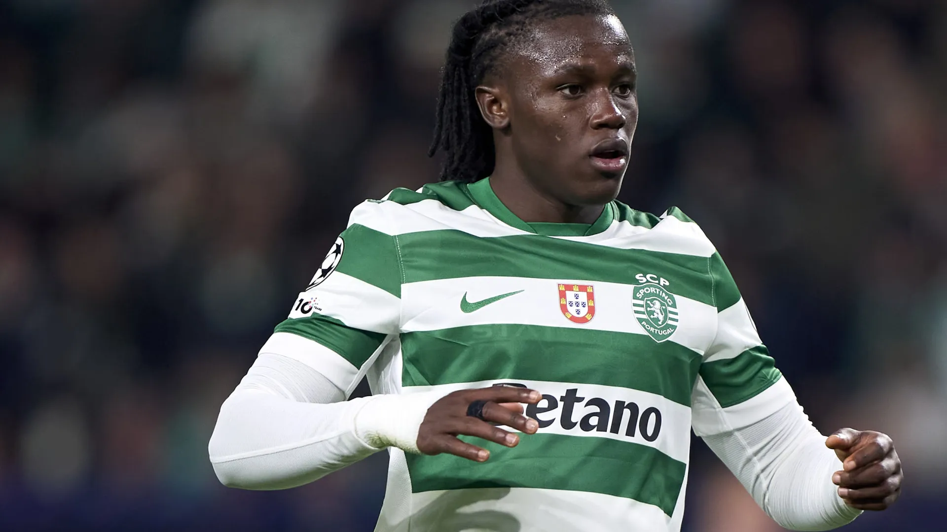 Quenda de regresso. O reforço do Sporting para a reta final da época