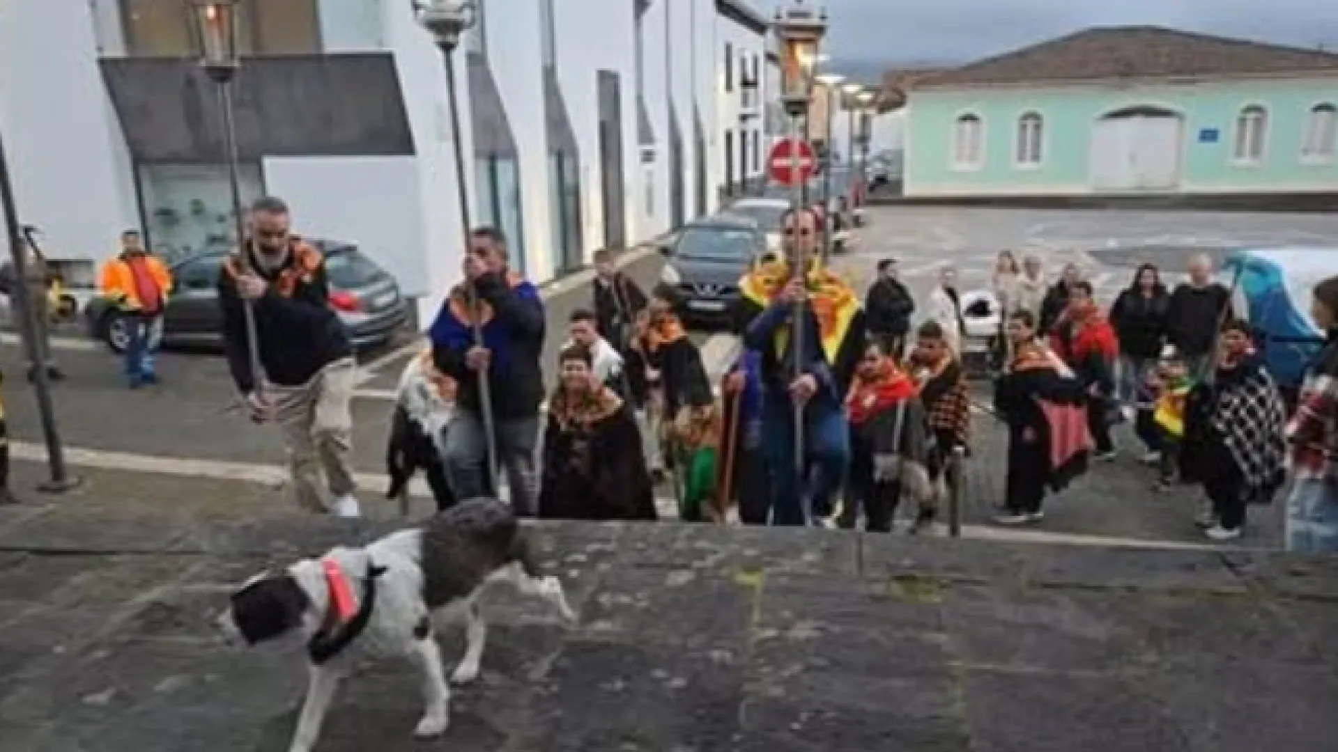 
                    Boneca não reza, mas sente e já ganhou o título de romeira de 4 patas
                