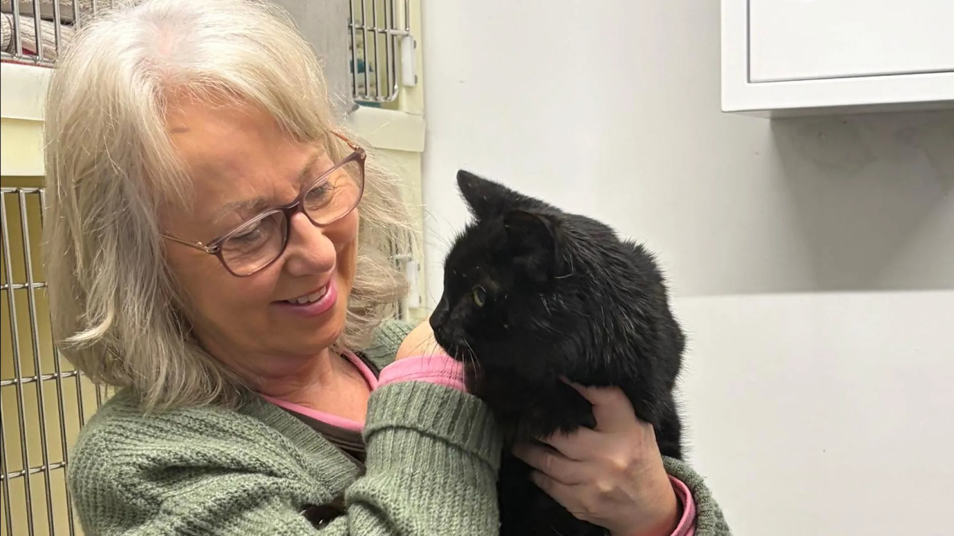 
                    Gato reencontra dona após 12 anos. 