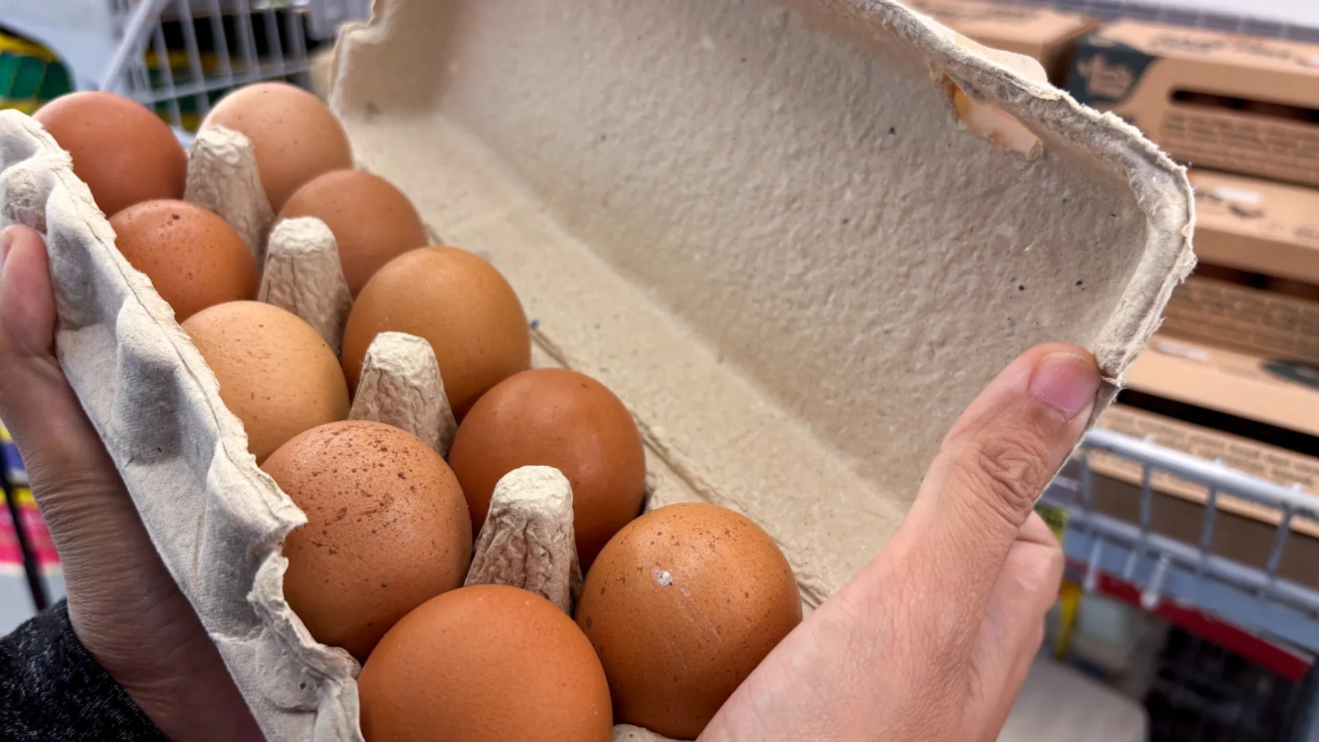 A caminho da Páscoa… Como está o preço dos ovos? Vai aumentar?