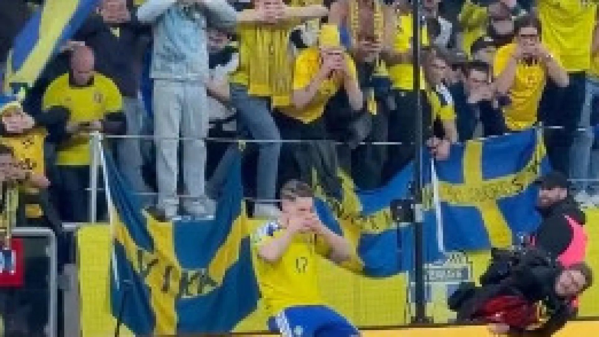 Como um deus. Gyokeres coloca Suécia no Mundial e festejo já é viral