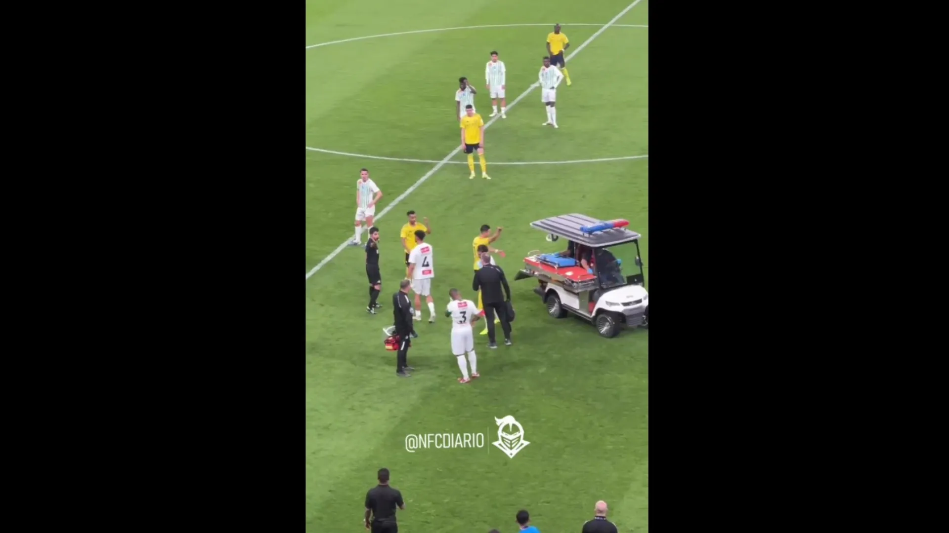 
                    Maca entra em campo e reação de Cristiano Ronaldo torna-se viral
                