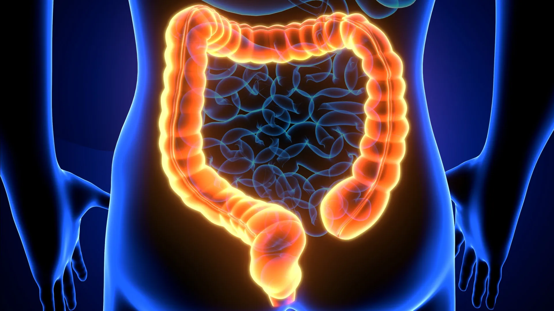 
                    Intestino a trabalhar mal: Será falta de fibras ou probióticos?
                