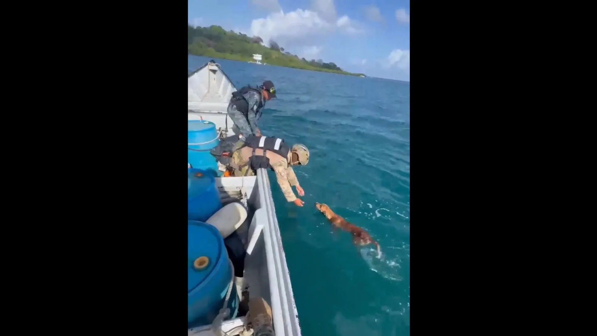 
                    Operação de patrulhamento termina com resgate de cão no Panamá
                