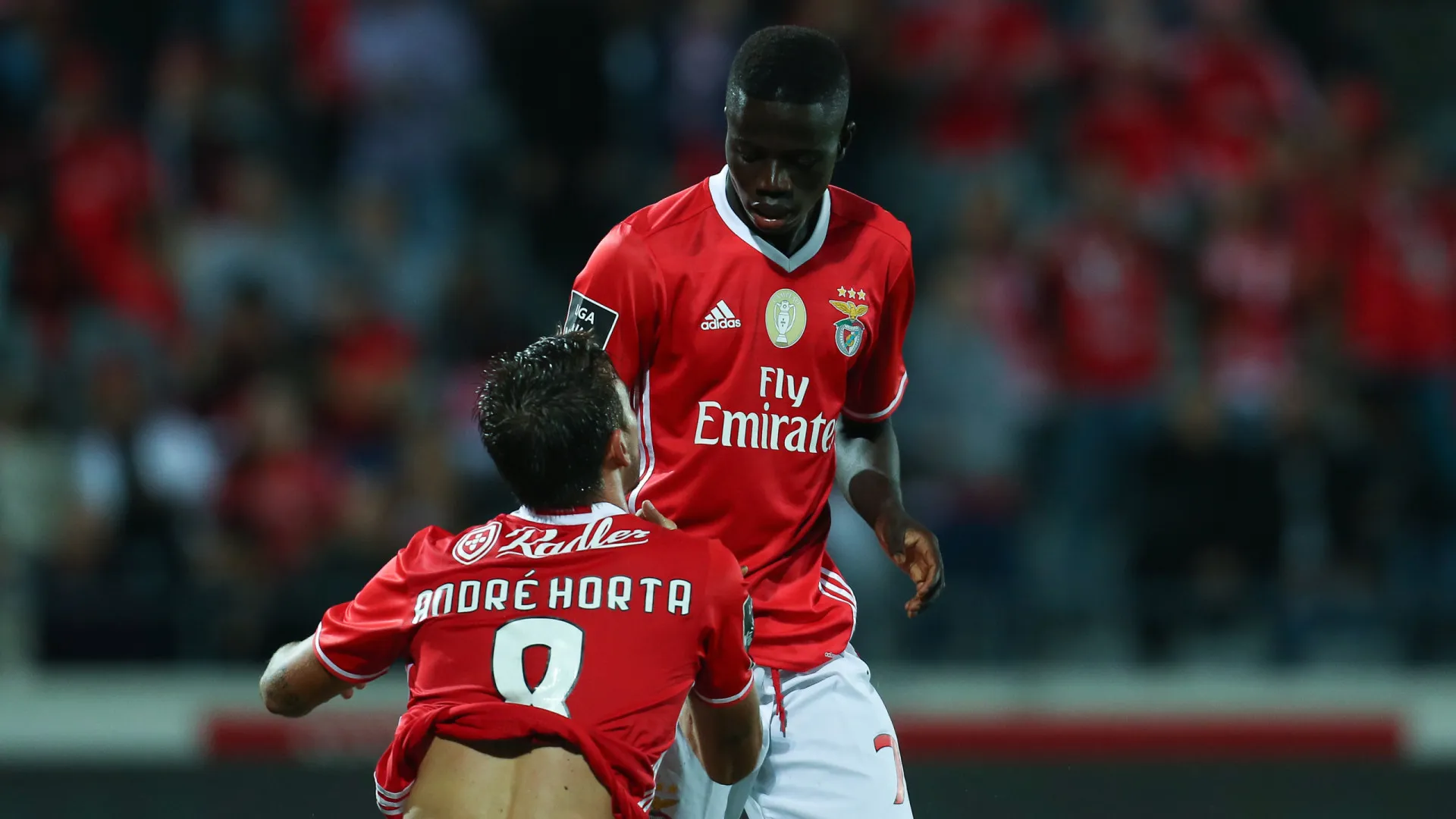 Promessa do Benfica "brilhou na casa de Pelé". O que é feito de Zé Gomes?