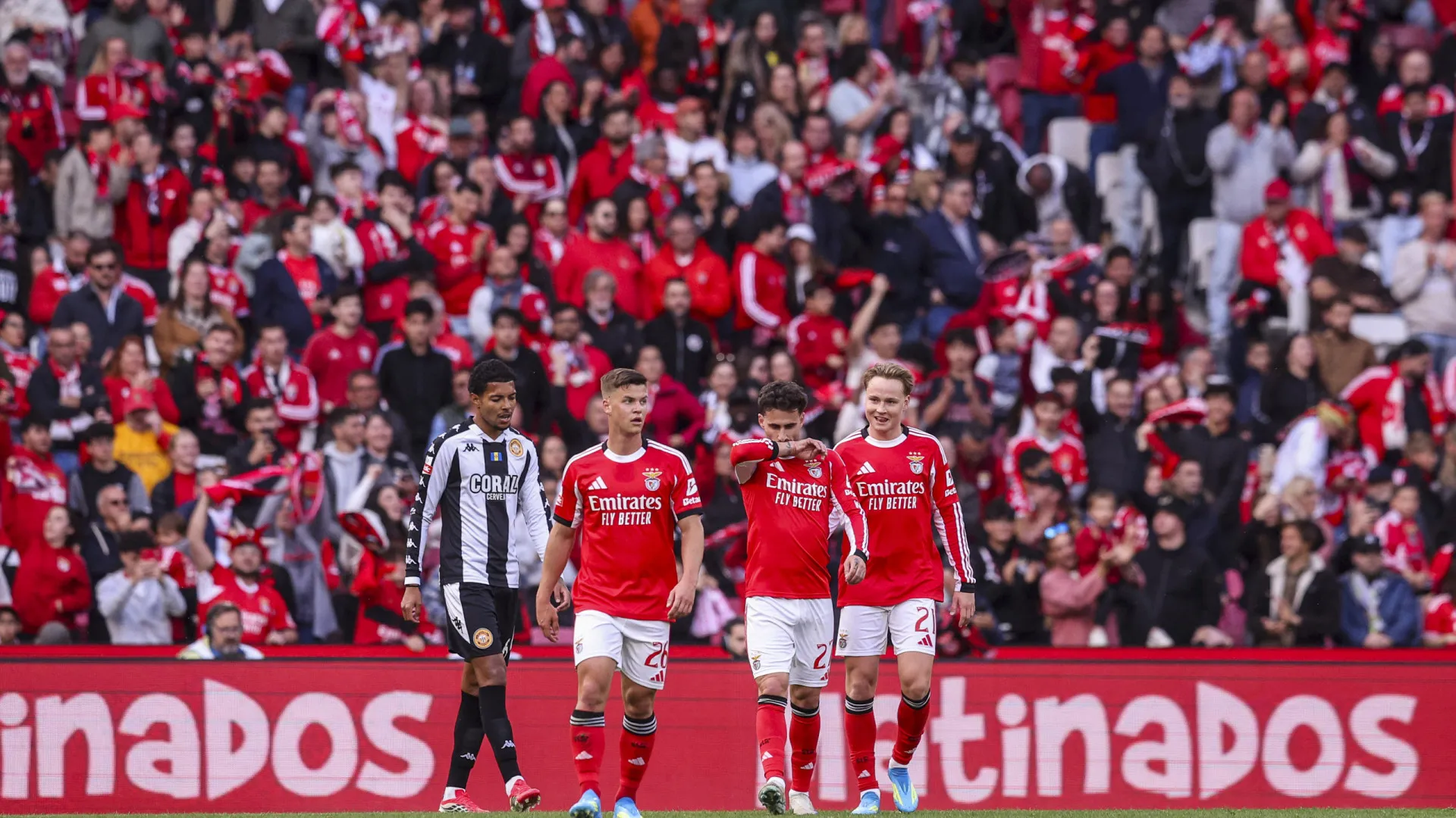 
                    Já não és o Benfica that I used to know
                