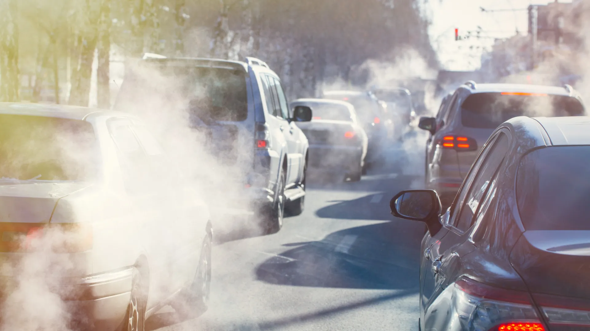 
                    Alemanha insiste nos motores de combustão e quer UE mais flexível
                