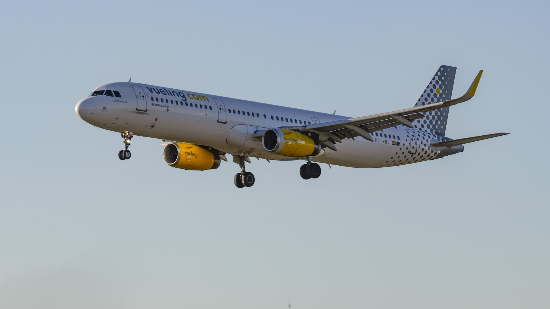 Vueling flight makes emergency landing in Barcelona after bird strike