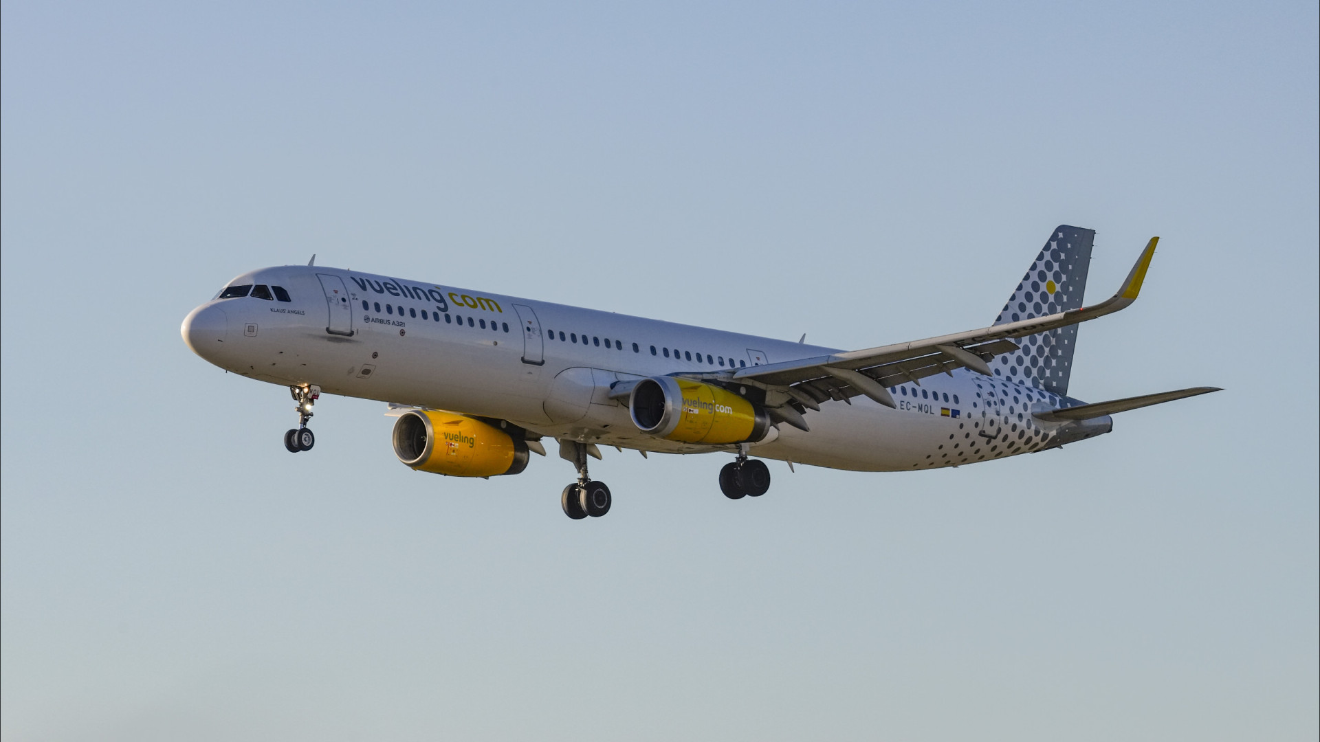 Vueling flight makes emergency landing in Barcelona after bird strike