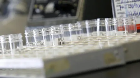 Cientistas de Coimbra descobrem novo mecanismo da infeção pela Salmonella