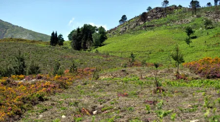 Investimento de 72 milhões quer valorizar Parque Nacional da Peneda-Gerês