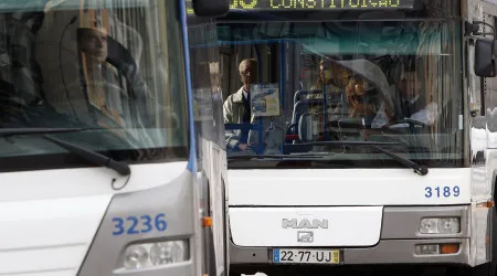 Nova rede de autocarros da AMP custará 311,6 milhões em 7 anos