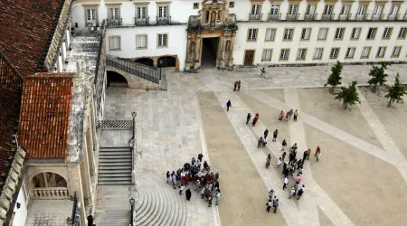 Eliminar carne de vaca nas cantinas de Coimbra é "cuidar do futuro"