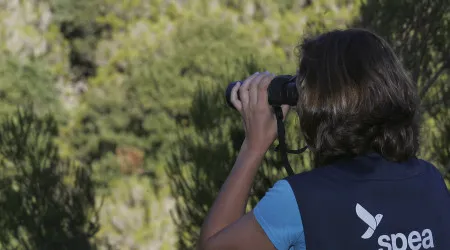 Sociedade Portuguesa para o Estudo das Aves quer criar rede de santuários