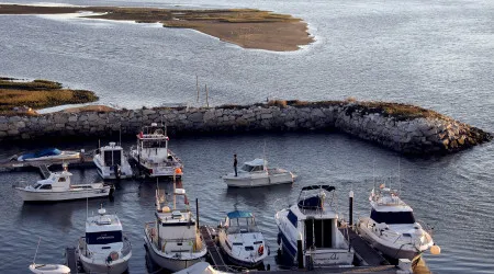 Pescadores querem mais fiscalização à apanha de bivalves em Aveiro
