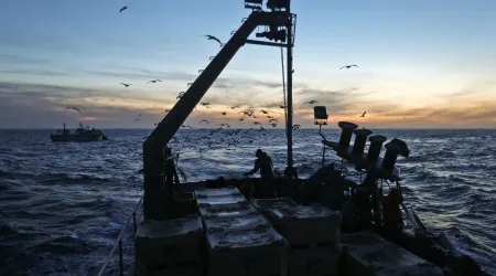 PE aprovam acordo de pesca com Guiné que inclui navios portugueses
