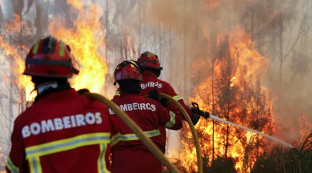 Dispositivo de combate a fogos reforçado hoje, mas faltam helicópteros