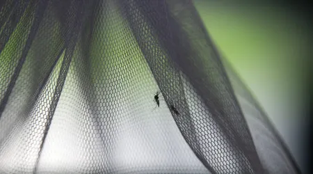 Cabo Verde em contingência a partir de hoje para evitar dengue e malária