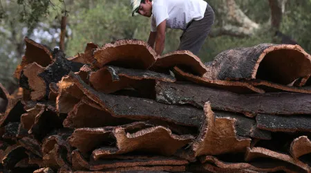 Exportações de cortiça batem recorde e atingem 1.232 milhões em 2023