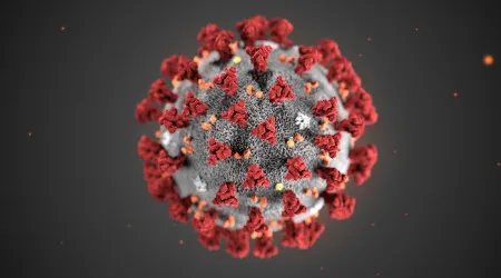 Investigadores admitem que SARS-CoV-2 circulou em Portugal antes de março de 2020