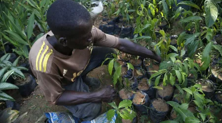 FIDA lança programa agrícola em Cabo Verde, São Tomé e Príncipe e Guiné-Bissau