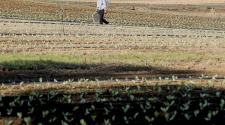 Portugal assegura 6.713 milhões com aprovação do plano da PAC