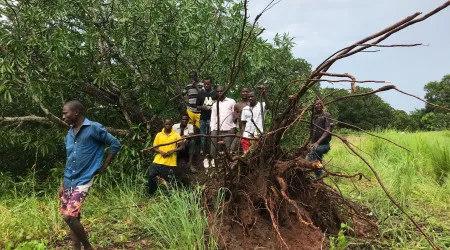 Sobe para 14 o número de mortos após passagem de ciclone em Moçambique