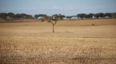 Alentejo 2030 com 10 milhões para apoiar investimentos de micro empresas