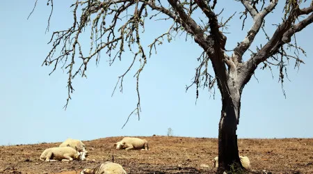 Novembro foi o mais quente dos últimos 94 anos em Portugal