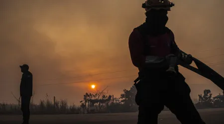 Seca e fogos fizeram degradação da Amazónia brasileira crescer quase 500%