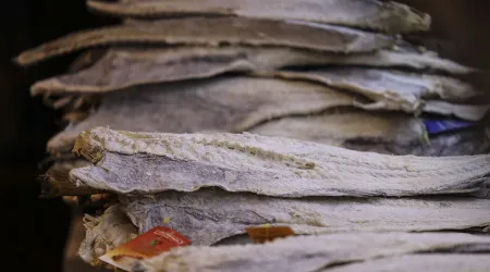 Acordo de pesca UE-Canadá duplica quota de bacalhau para Portugal