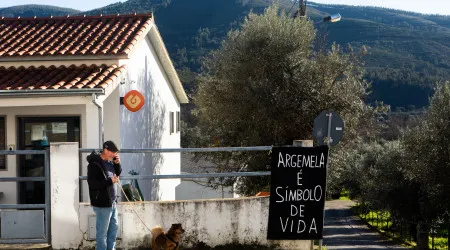 Estudo de impacte ambiental da Mina da Argemela foi indeferido