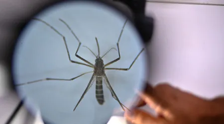 Cabo Verde declara situação de contingência por causa da dengue
