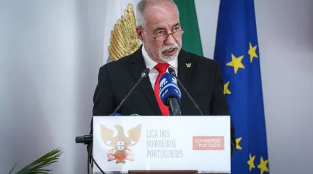 Liga dos Bombeiros defende que agência de fogos rurais devia acabar