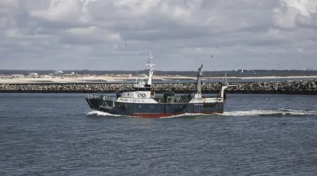 Pesca de arrasto reduz a absorção de CO2 pelos oceanos