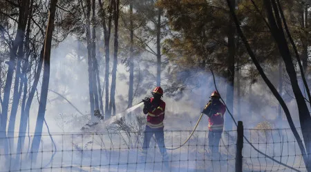 Incêndio na Amora continua "ativo" e já destaca mais de 200 operacionais