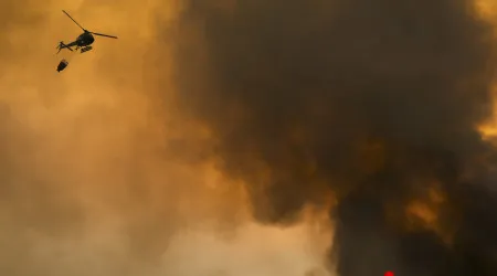 Quercus: Seca e grandes incêndios florestais entre o pior de 2024