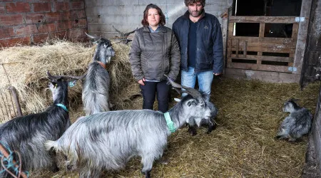 Viseu. Lesados dos fogos com apoio de amigos e esperam ajuda do Estado