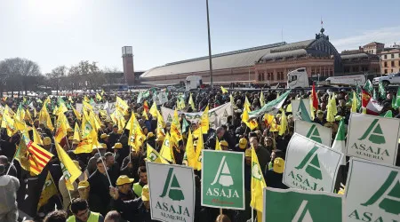 Milhares de agricultores nas ruas de Madrid contra acordo UE/Mercosul