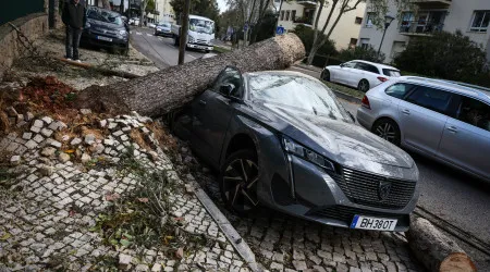 Portugal continental com 858 ocorrências até às 18 horas