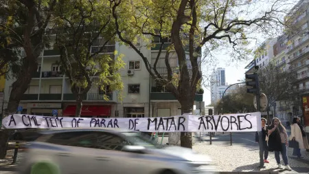 imagem do artigo
