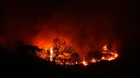 Colapso ambiental levou à Revolução Neolítica