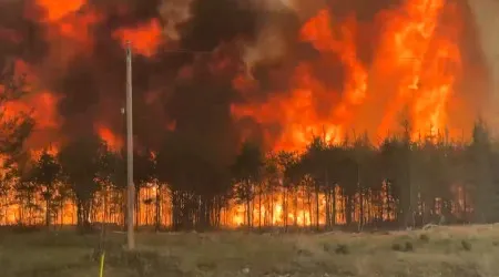Canadá pode viver segunda pior época de fogos florestais da sua história