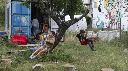 Quinta em Coimbra resgata animais e promove ensino alternativo