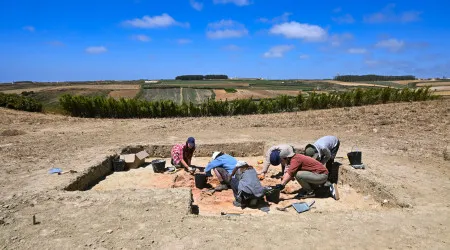 Arqueólogos colocam a Lourinhã na rota das Descobertas e do açúcar