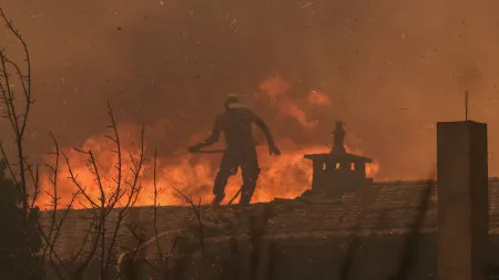 Livre, PCP e BE acusam Governo de alheamento e falta de resposta aos incêndios