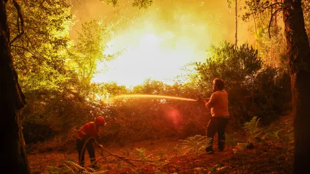 Incêndios em Vila Verde, Cabeceiras e Sabrosa são os que mais preocupam