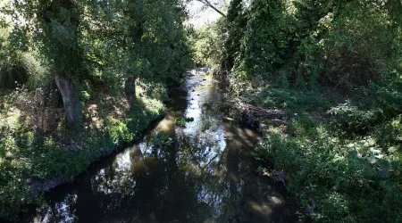 Quercus tenta parar barragem de Veiguinhas