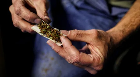 Polícia detém homem suspeito de plantar canábis